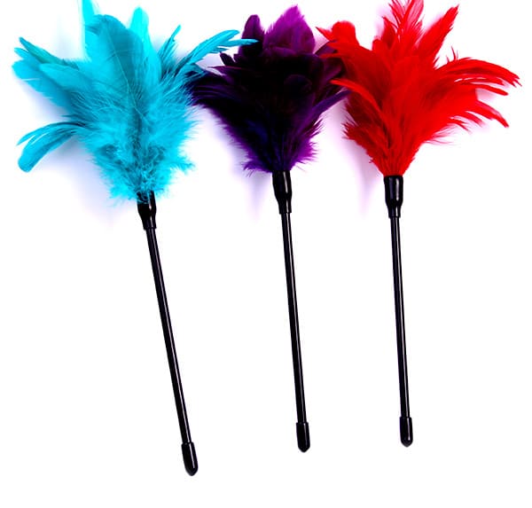 Feather Tickler image