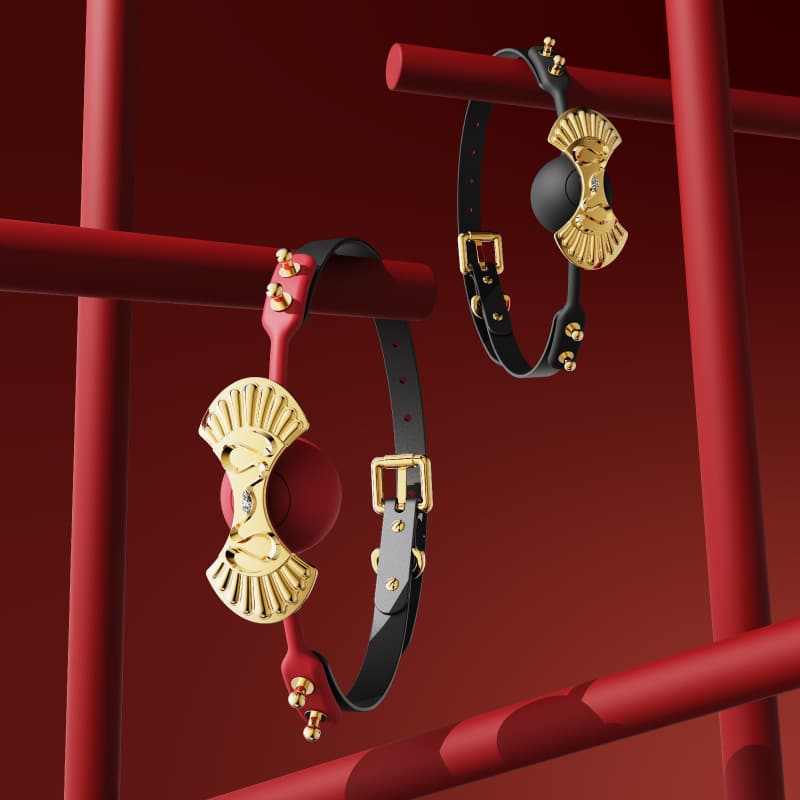 ball gag image
