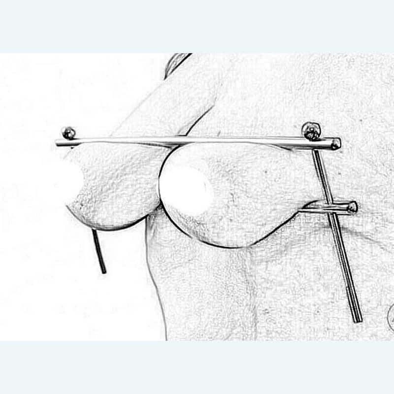 Stainless Steel Breast Clip Torture Device