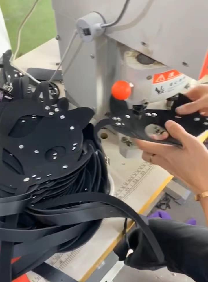 BDSM Quality Checking