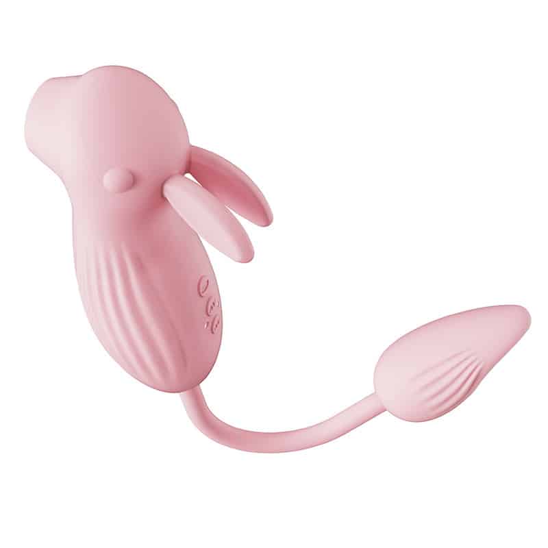 Rabbit suction vibrator with egg