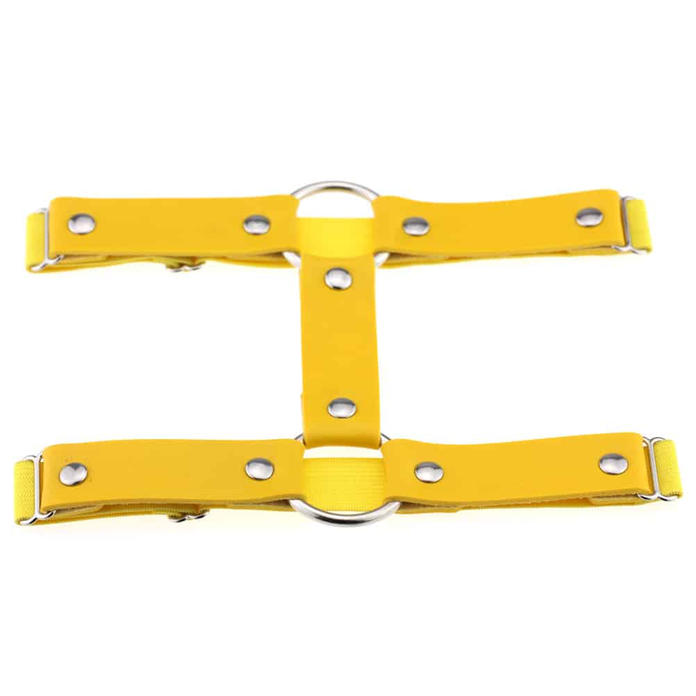 Dual Strap Studden Leg Garter