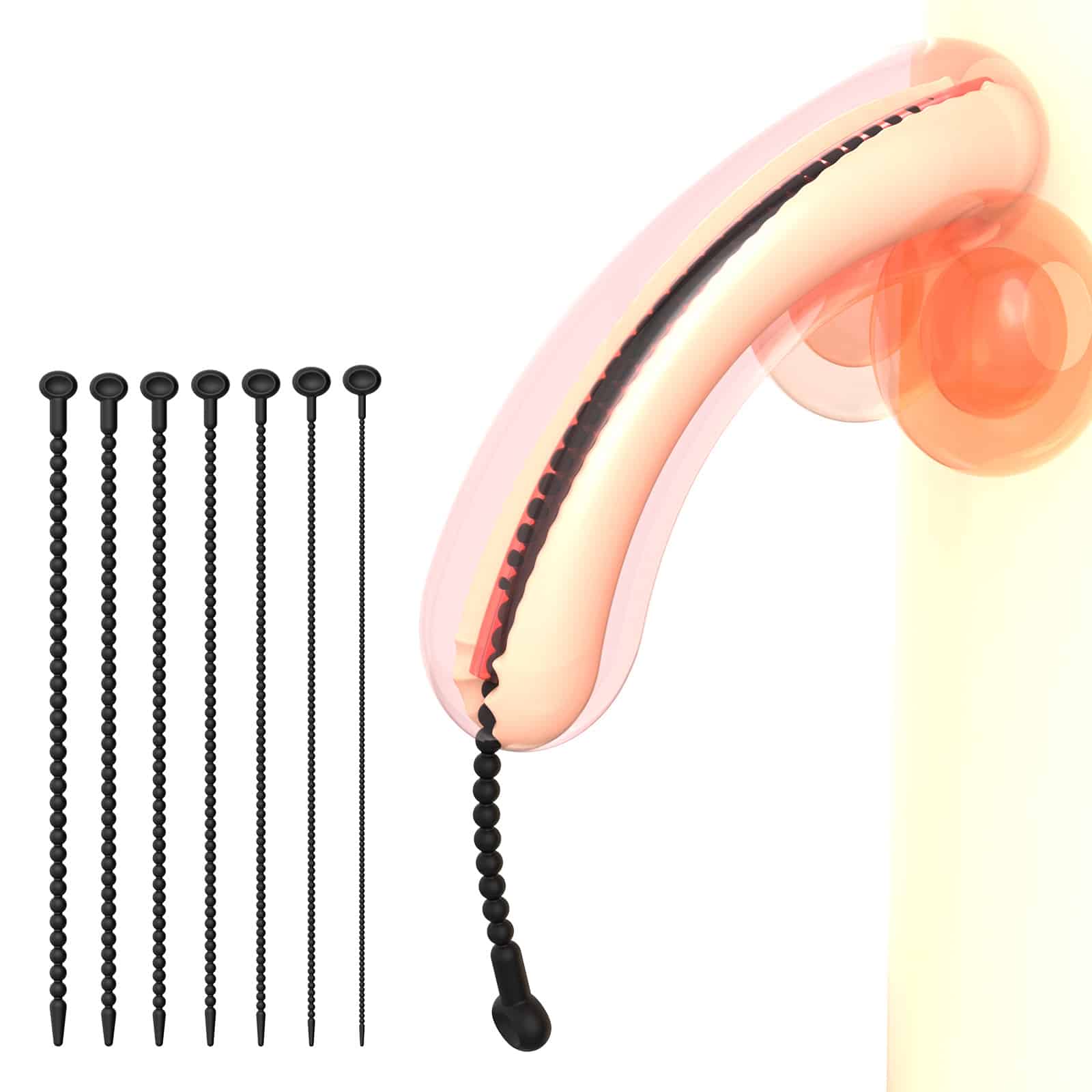 Urethral Dilator Sounds
