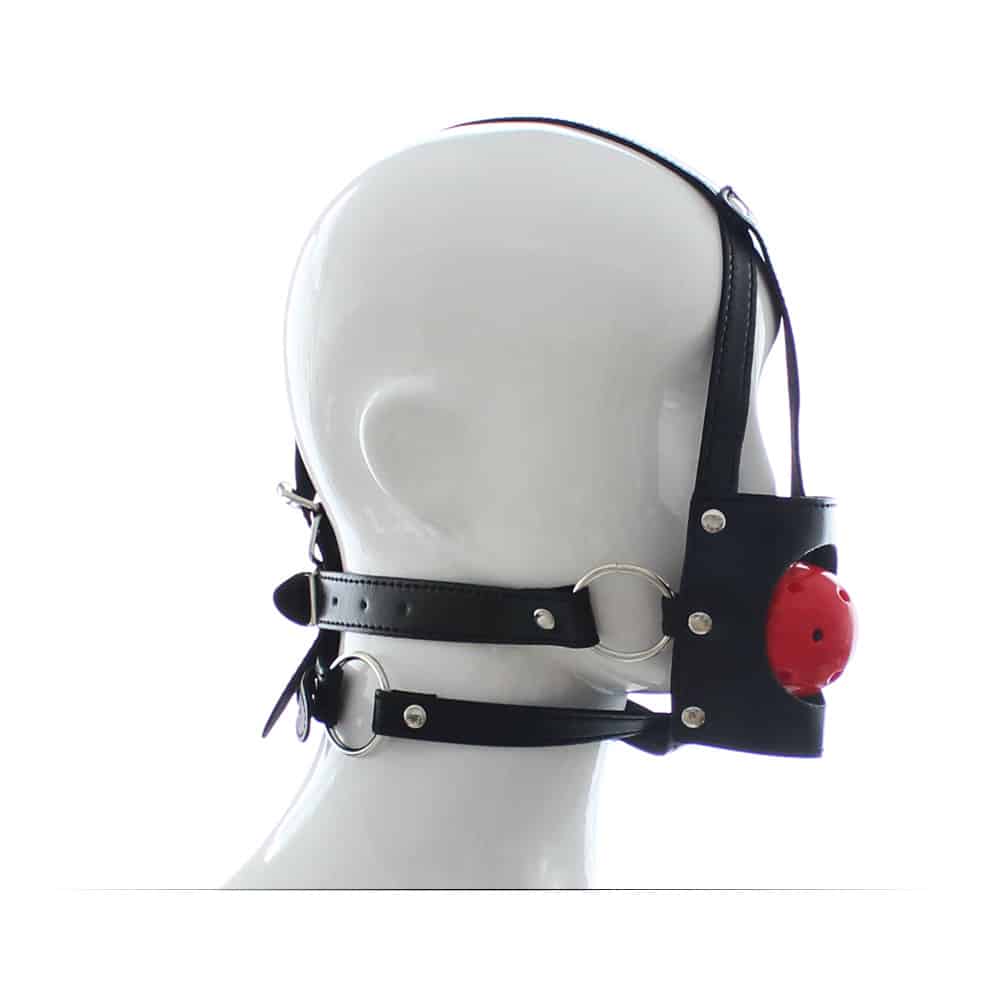 Muzzle with removable ball gag