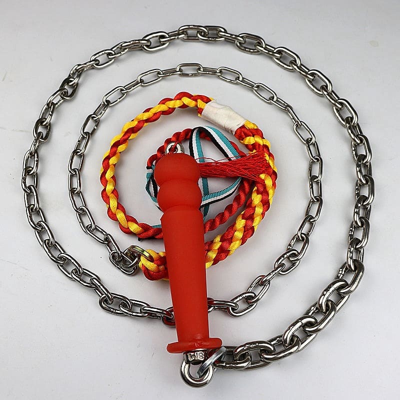 mental Spank Whip
